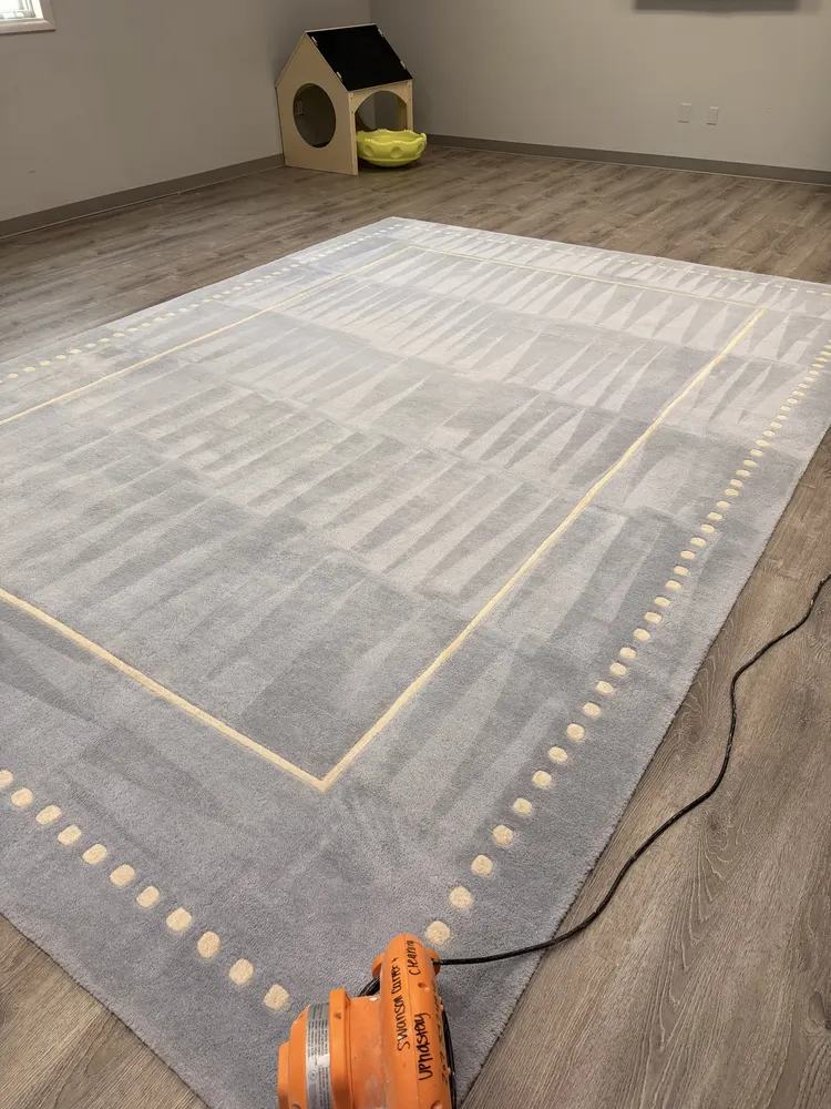 After carpet cleaning result by Swanson Cleaning — area rug freshly groomed in Bluffton, South Carolina