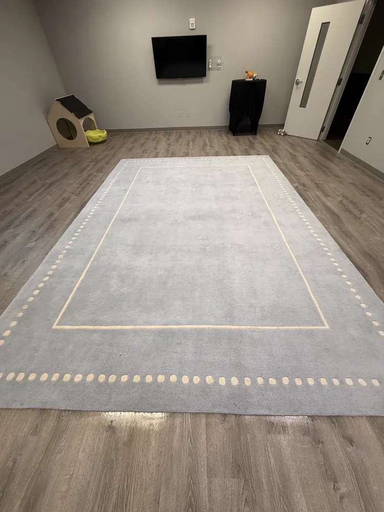 Before carpet cleaning by Swanson Cleaning — area rug in Bluffton, South Carolina