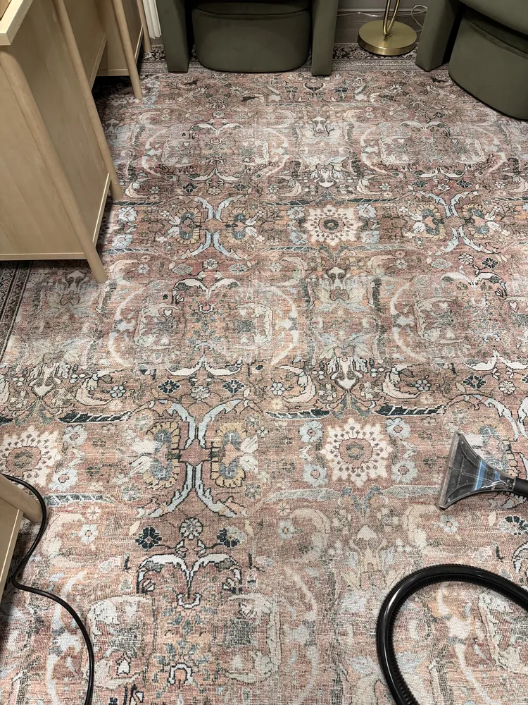 After carpet cleaning result by Swanson Cleaning — stain removed from area rug in Bluffton, South Carolina