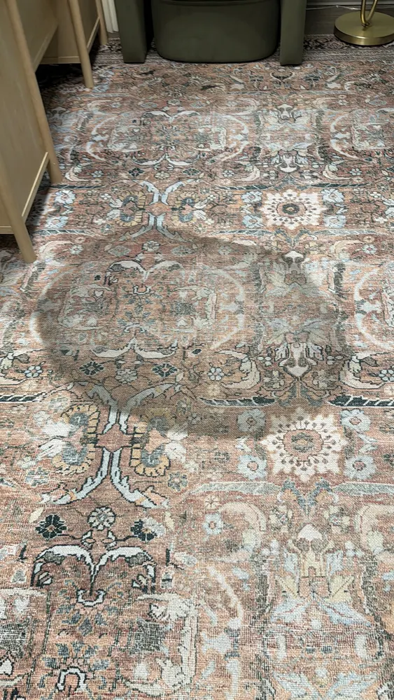 Before carpet cleaning by Swanson Cleaning — stained area rug in Bluffton, South Carolina