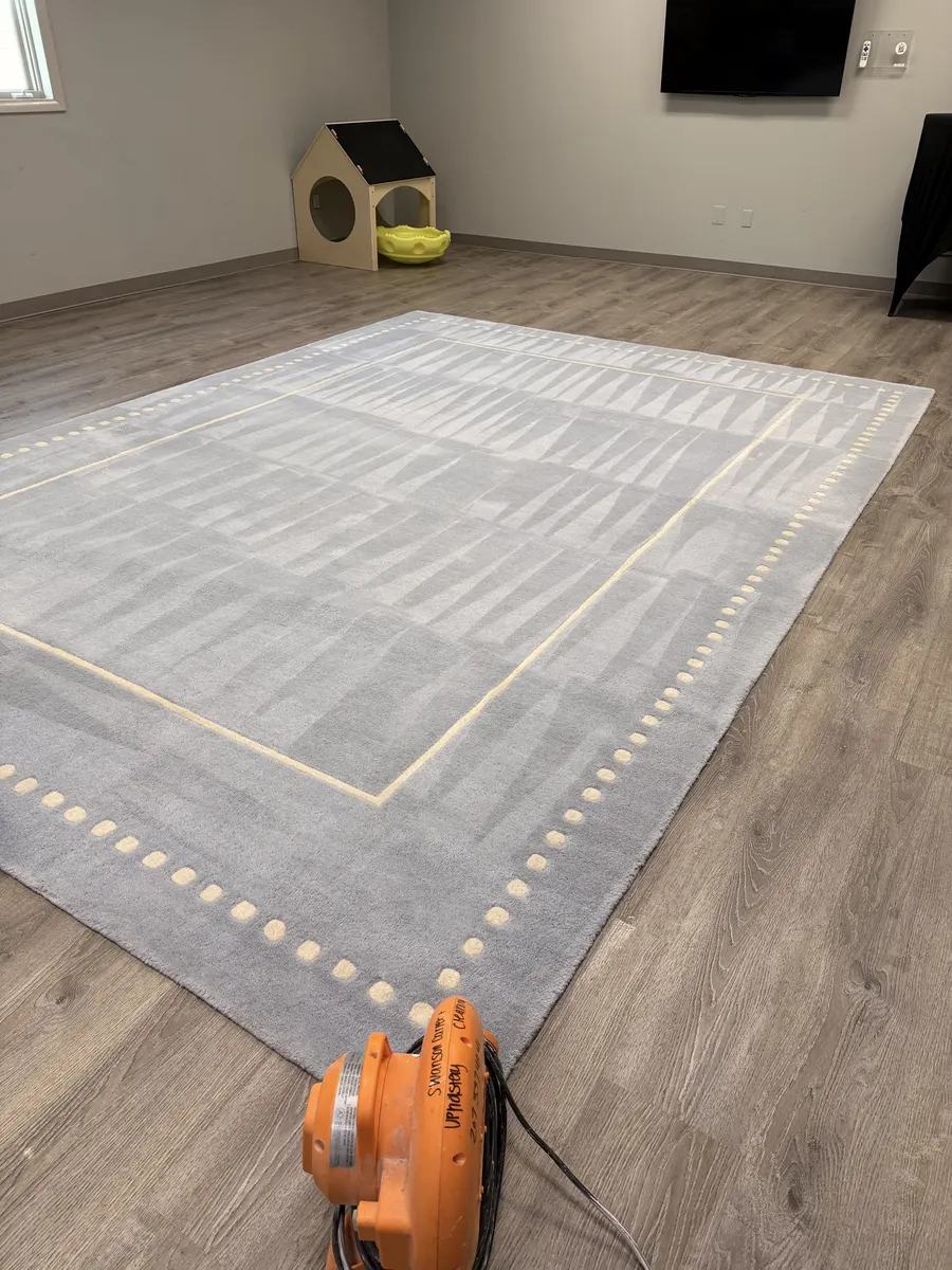 Finished carpet cleaning result in Bluffton, South Carolina